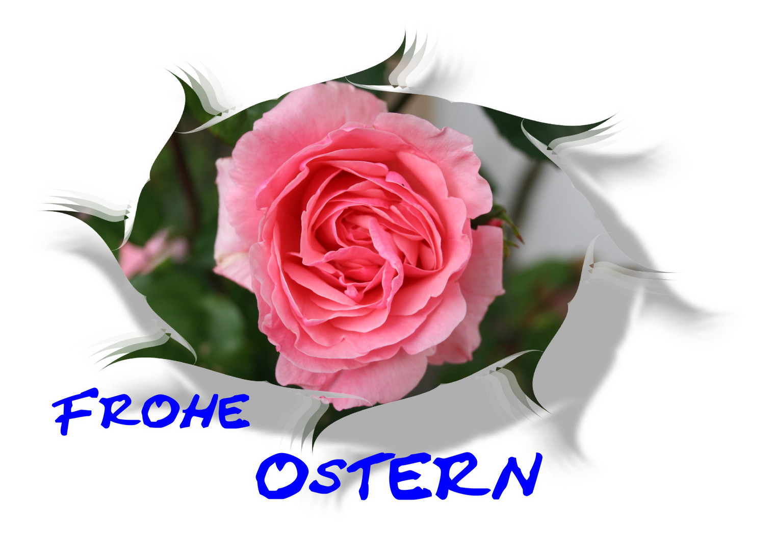 Frohe Ostern 2011