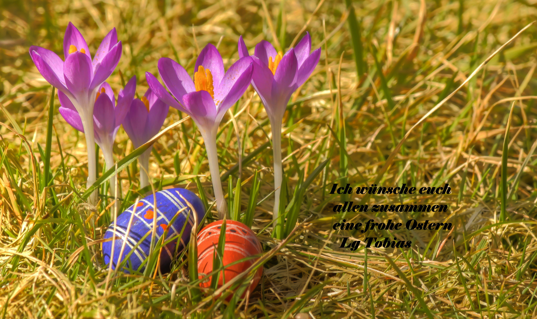 Frohe Ostern 2012