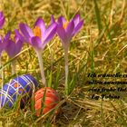 Frohe Ostern 2012