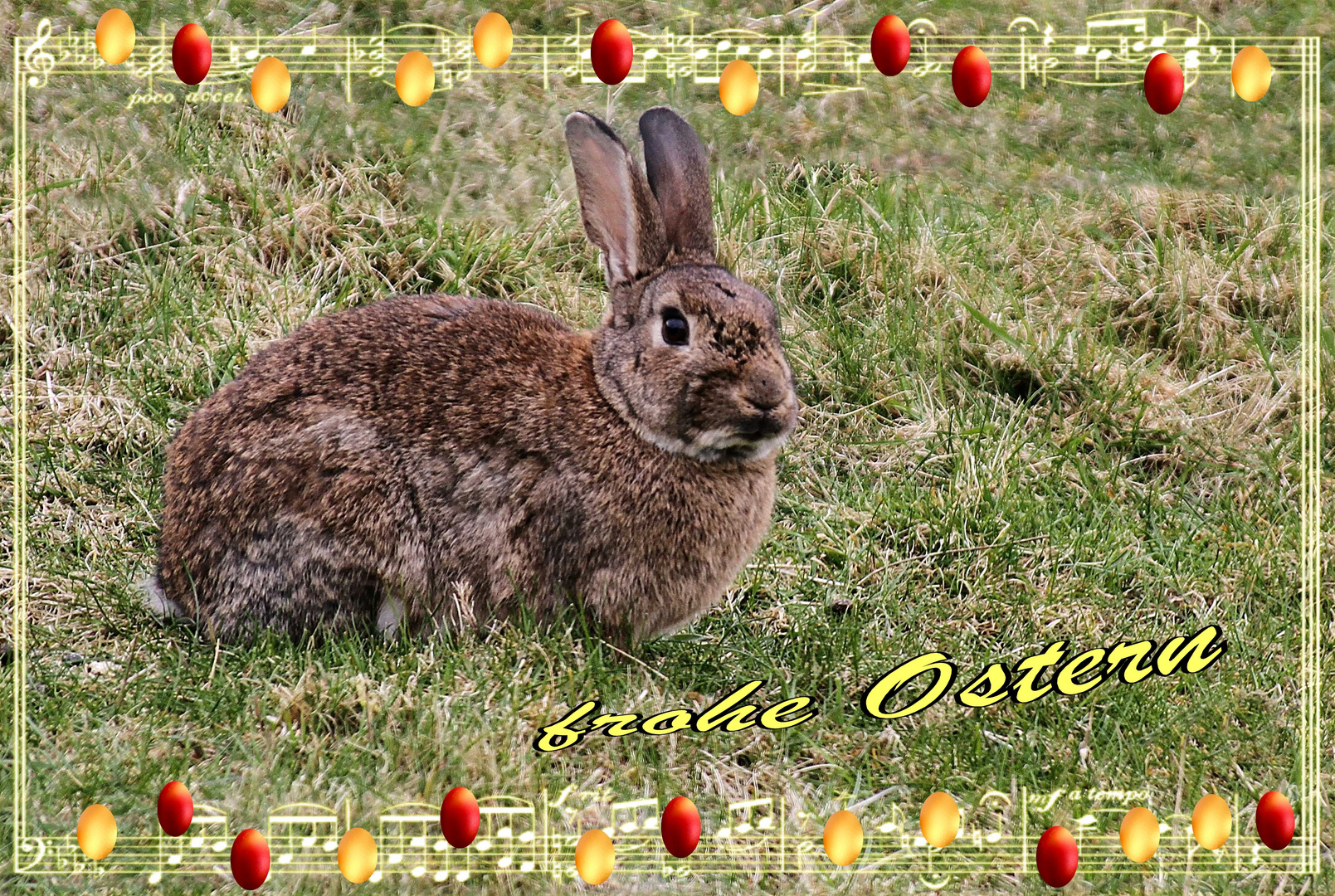 Frohe Ostern 2012