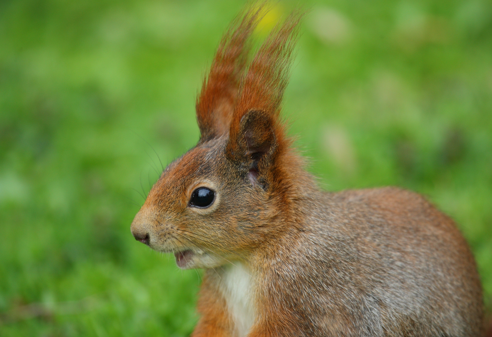 Frohe Ostern 2012