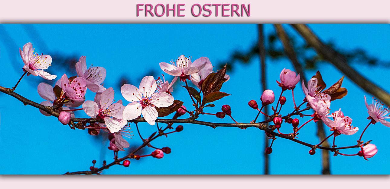 FROHE OSTERN 2014