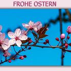 FROHE OSTERN 2014