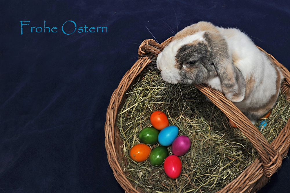 Frohe Ostern 2016