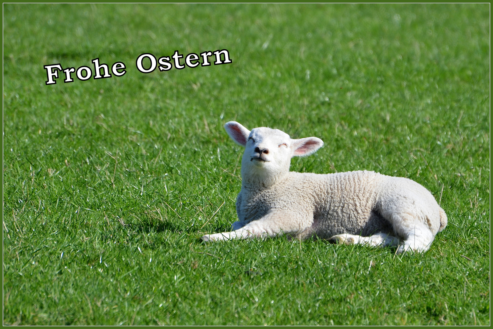 Frohe Ostern 2017