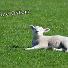 Frohe Ostern 2017