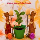 Frohe Ostern 2019 (1)