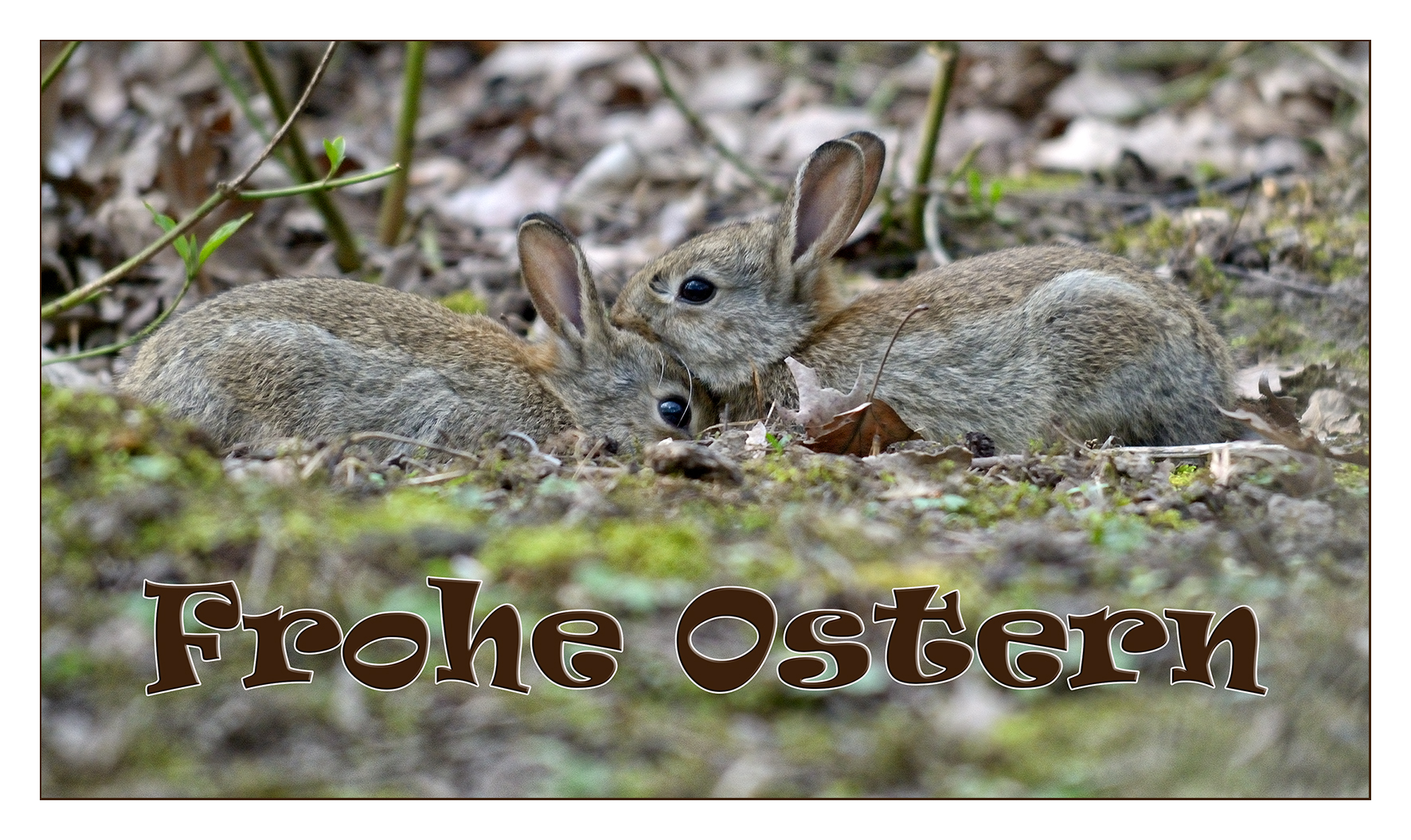 Frohe Ostern 2019