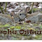 Frohe Ostern 2019