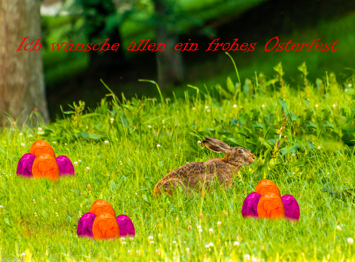 Frohe Ostern 2020 (1)