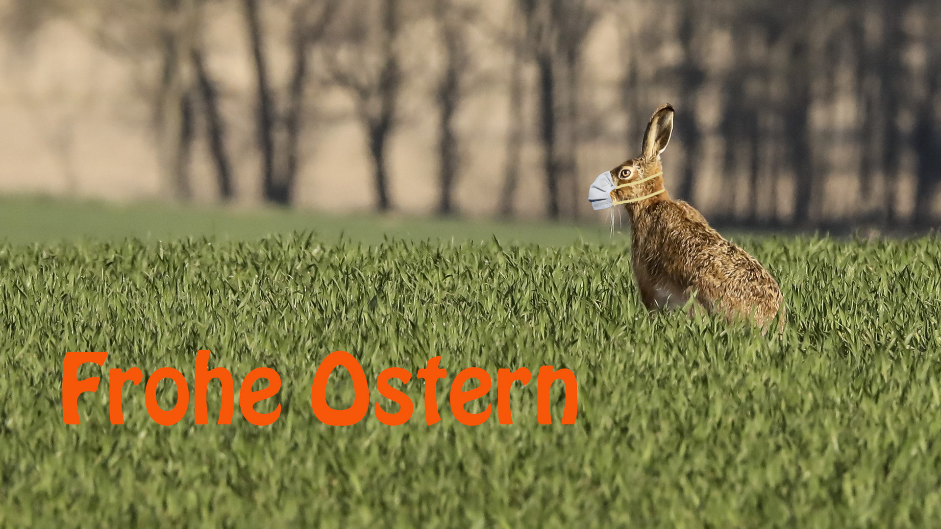 Frohe Ostern 2020