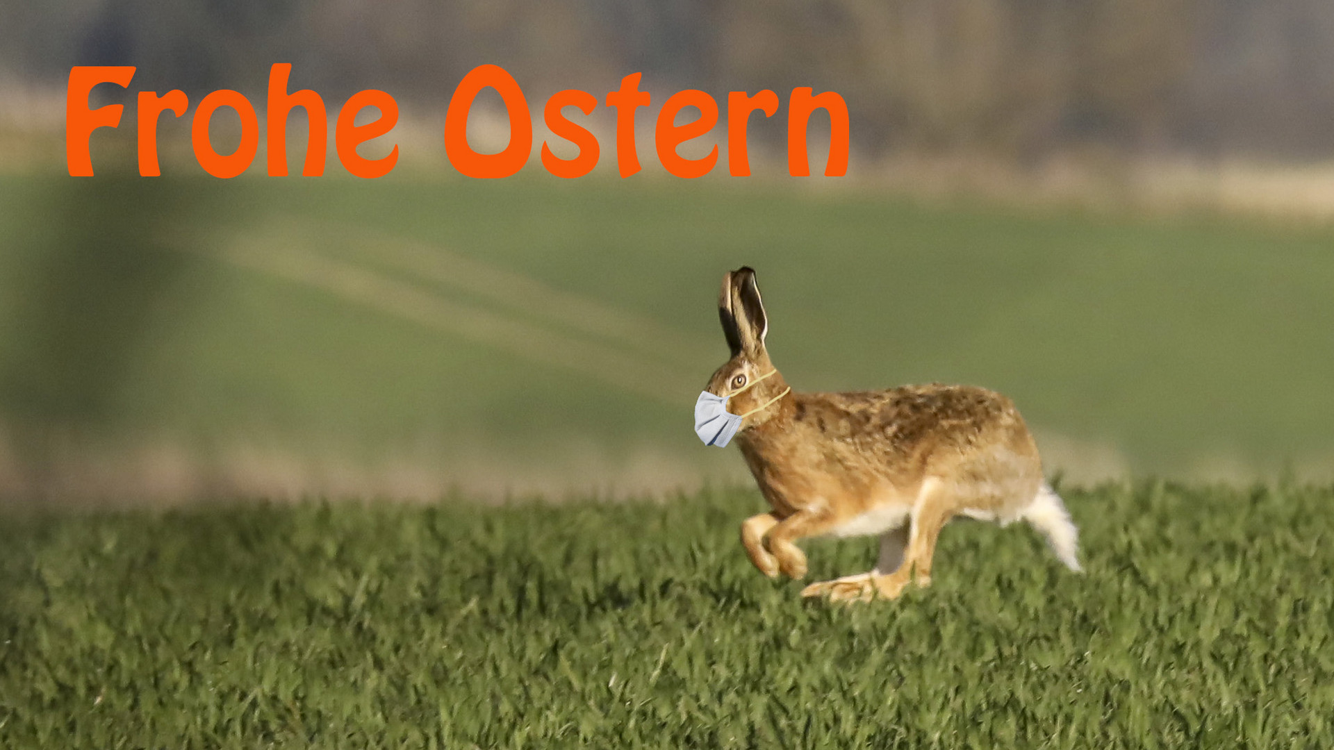 Frohe Ostern 2020