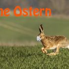 Frohe Ostern 2020