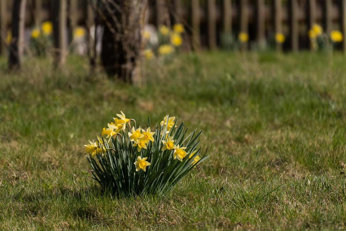 Frohe Ostern 2020