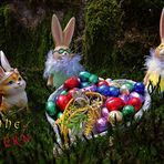 Frohe Ostern 2022 