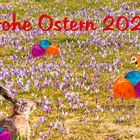 Frohe Ostern 2022 (2)