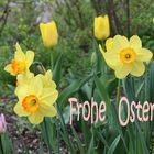 Frohe Ostern 2023