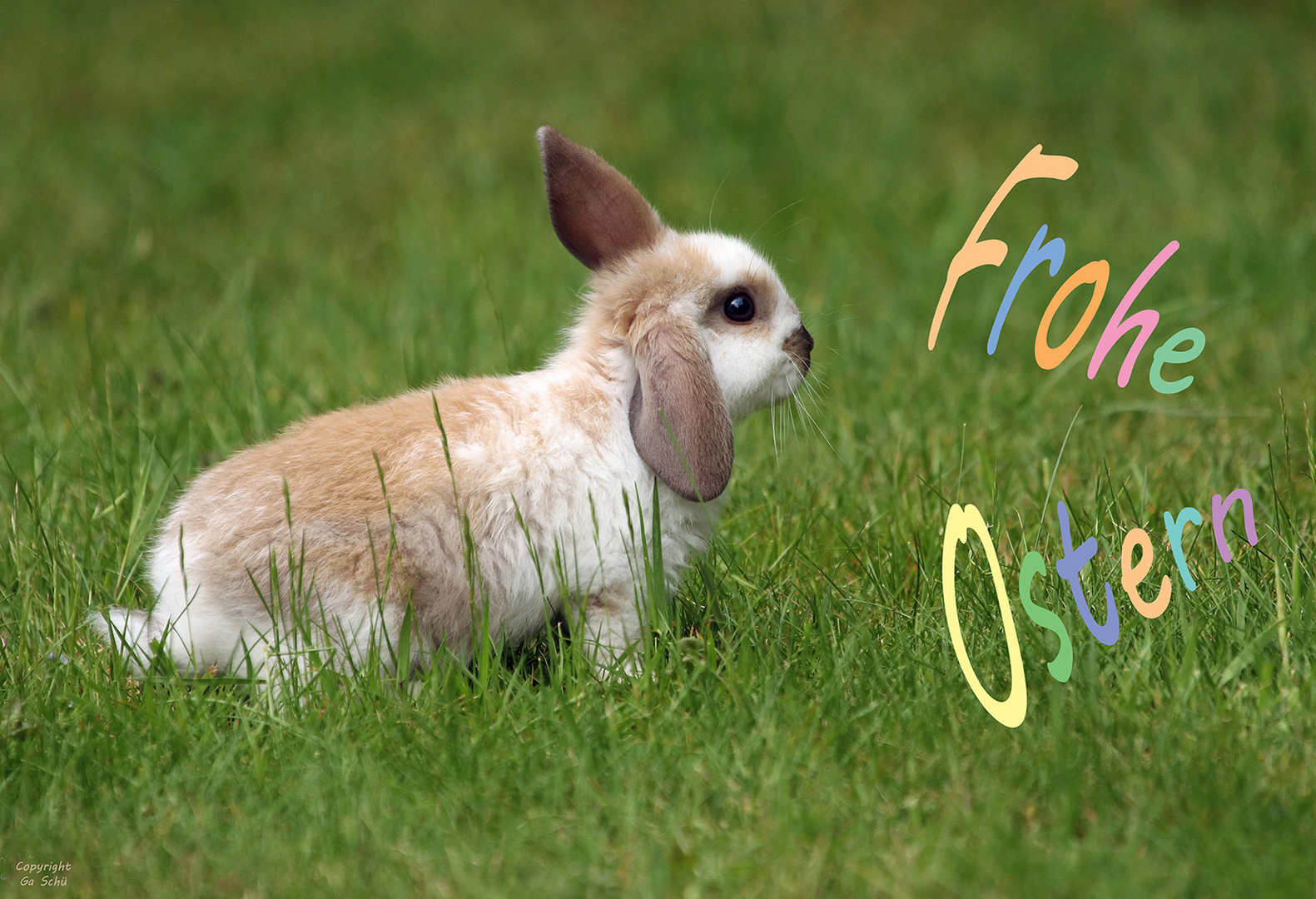 Frohe Ostern 2024