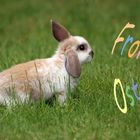 Frohe Ostern 2024