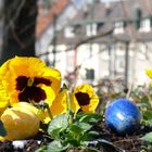 Frohe Ostern