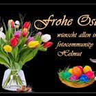 Frohe Ostern-21-fotocommunity