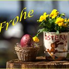 Frohe Ostern . . .