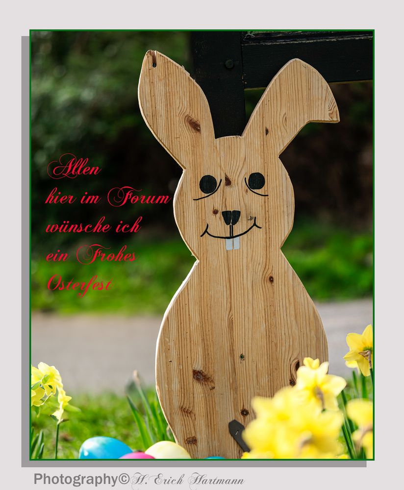 Frohe Ostern Foto & Bild gratulation und feiertage, wünsche allgemein
