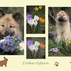 Frohe Ostern