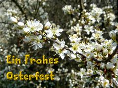 Frohe Ostern