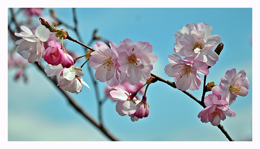 Frohe Ostern!