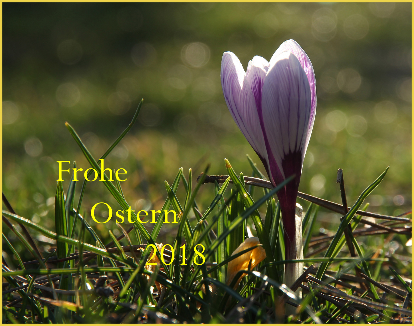 Frohe Ostern