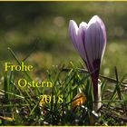 Frohe Ostern