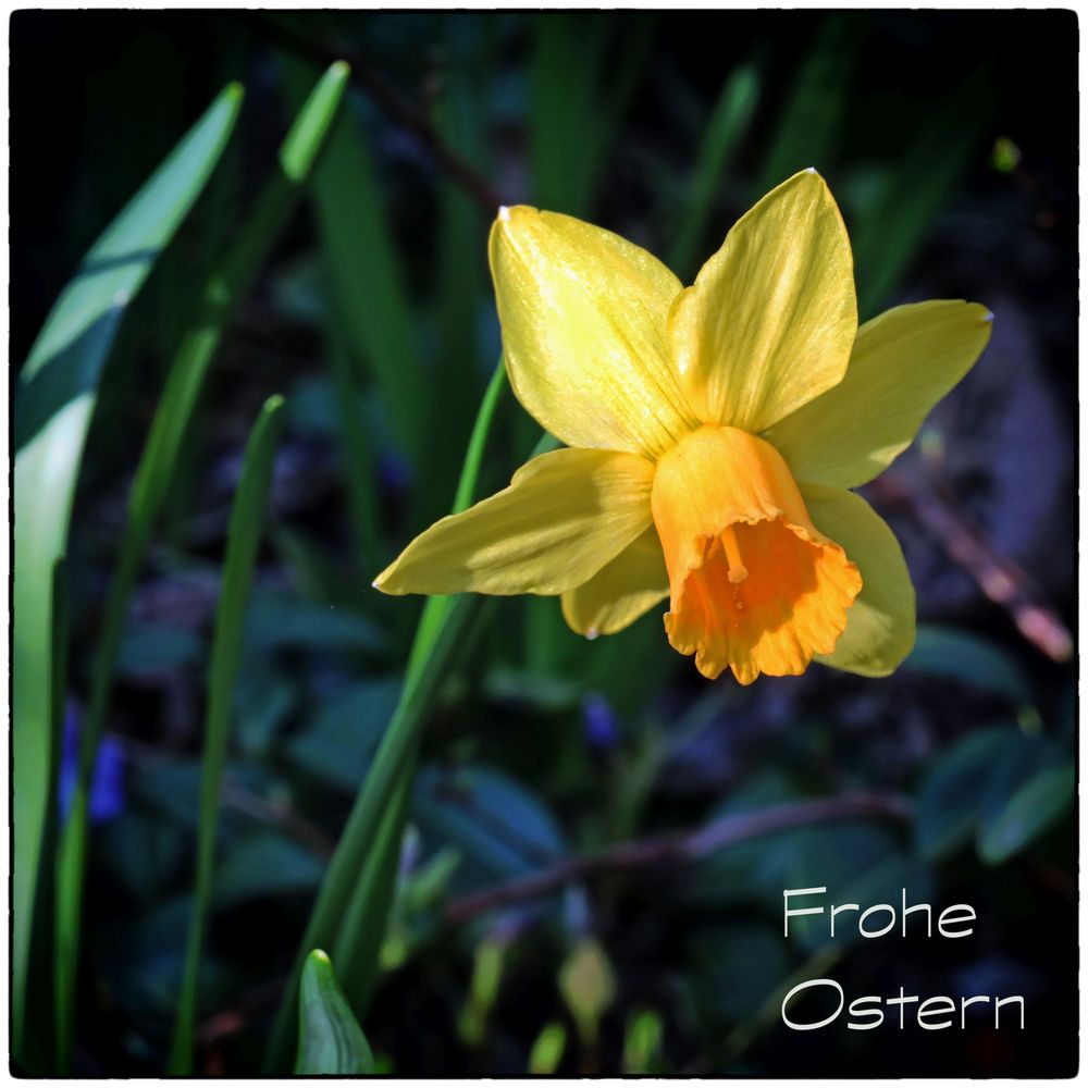 Frohe Ostern