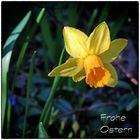 Frohe Ostern