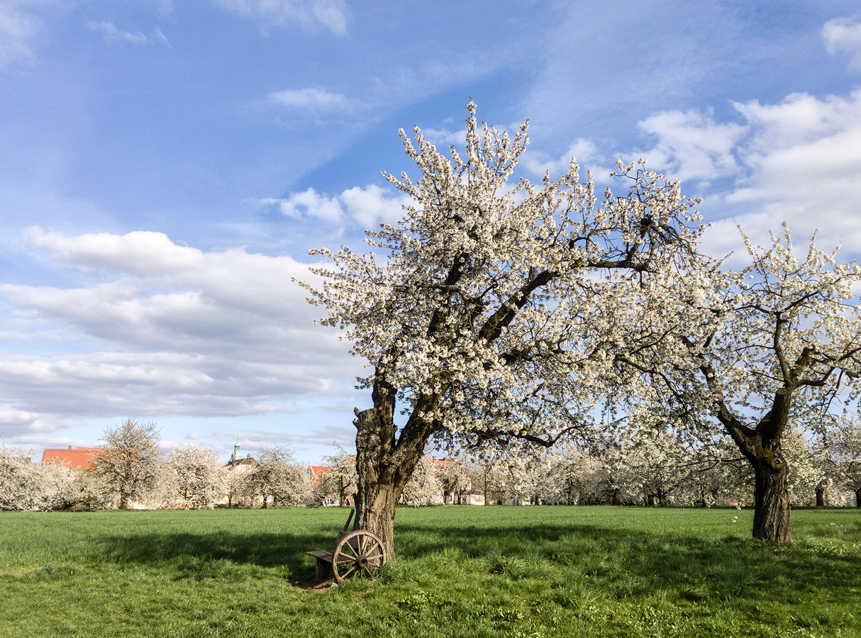 Frohe Ostern