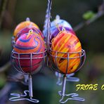 Frohe Ostern