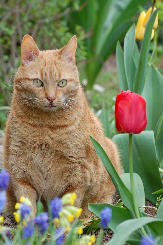 Frohe Ostern!