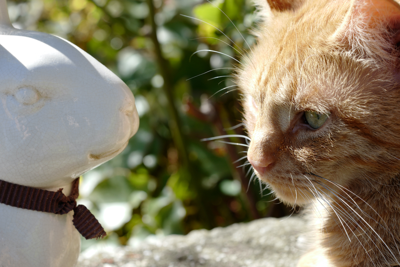 Frohe Ostern