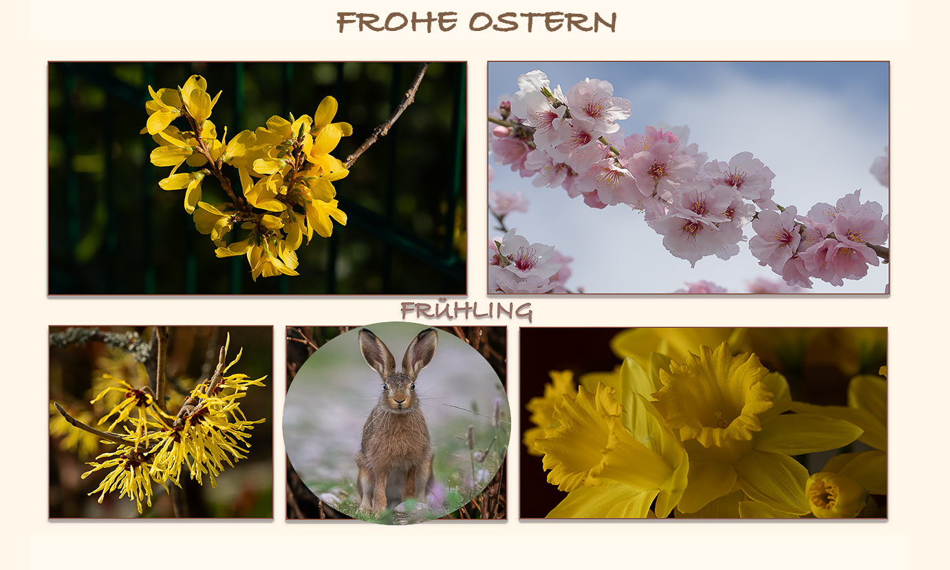 FROHE OSTERN