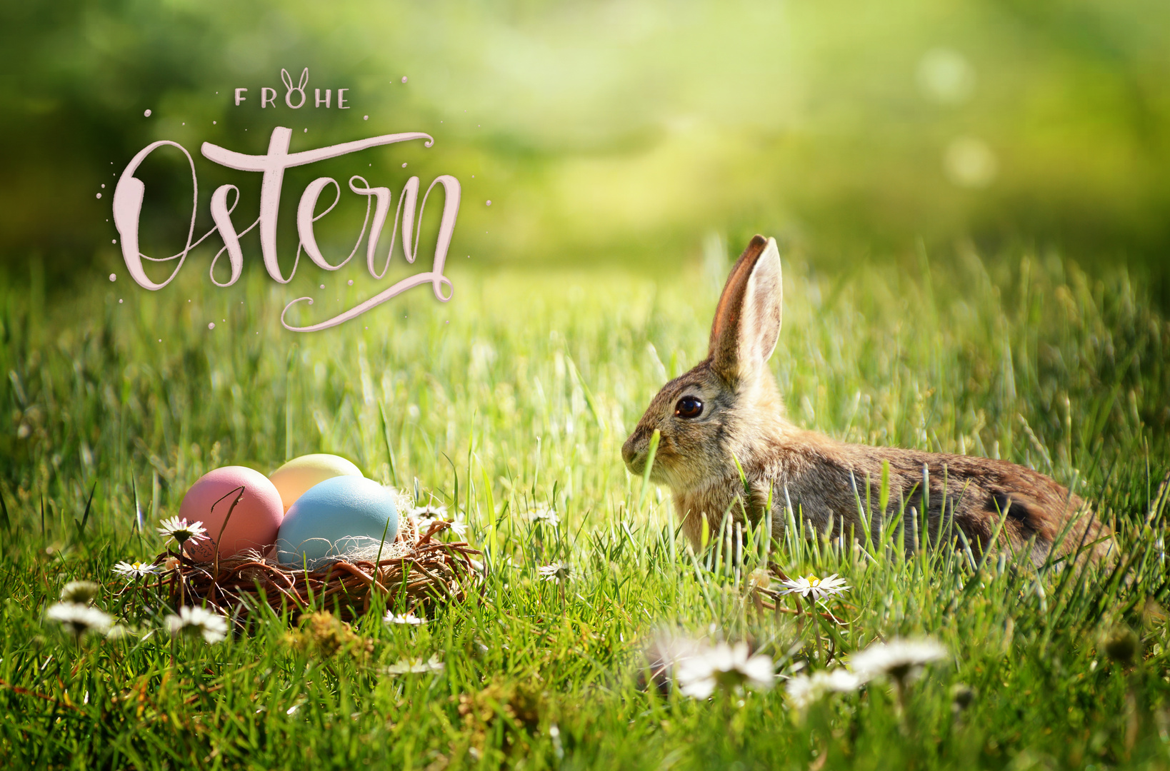 Frohe Ostern