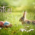 Frohe Ostern