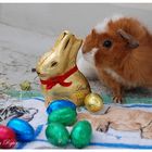 Frohe Ostern...