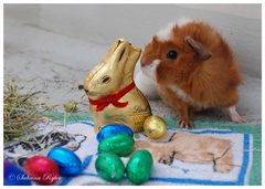 Frohe Ostern...