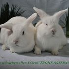 Frohe Ostern !!!