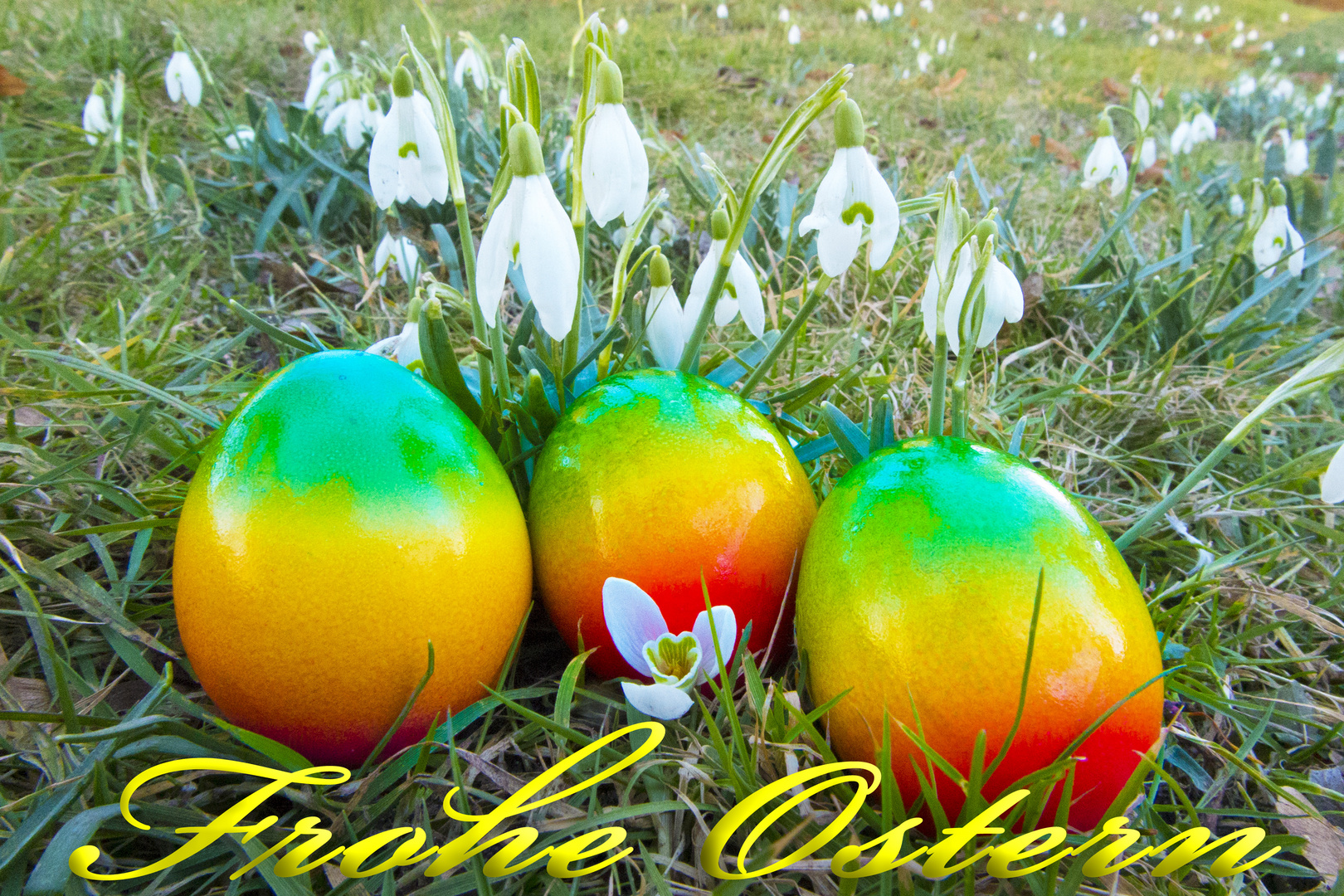 Frohe Ostern