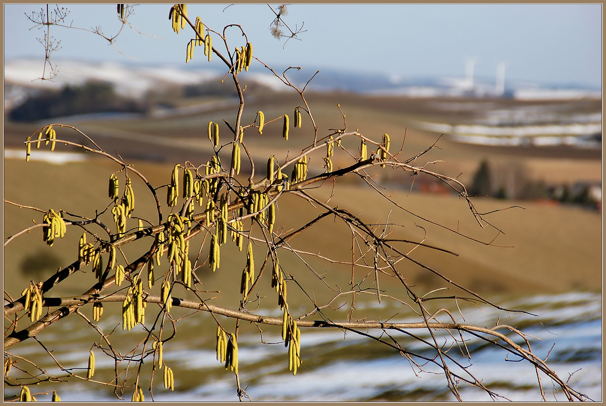 Frohe Ostern!