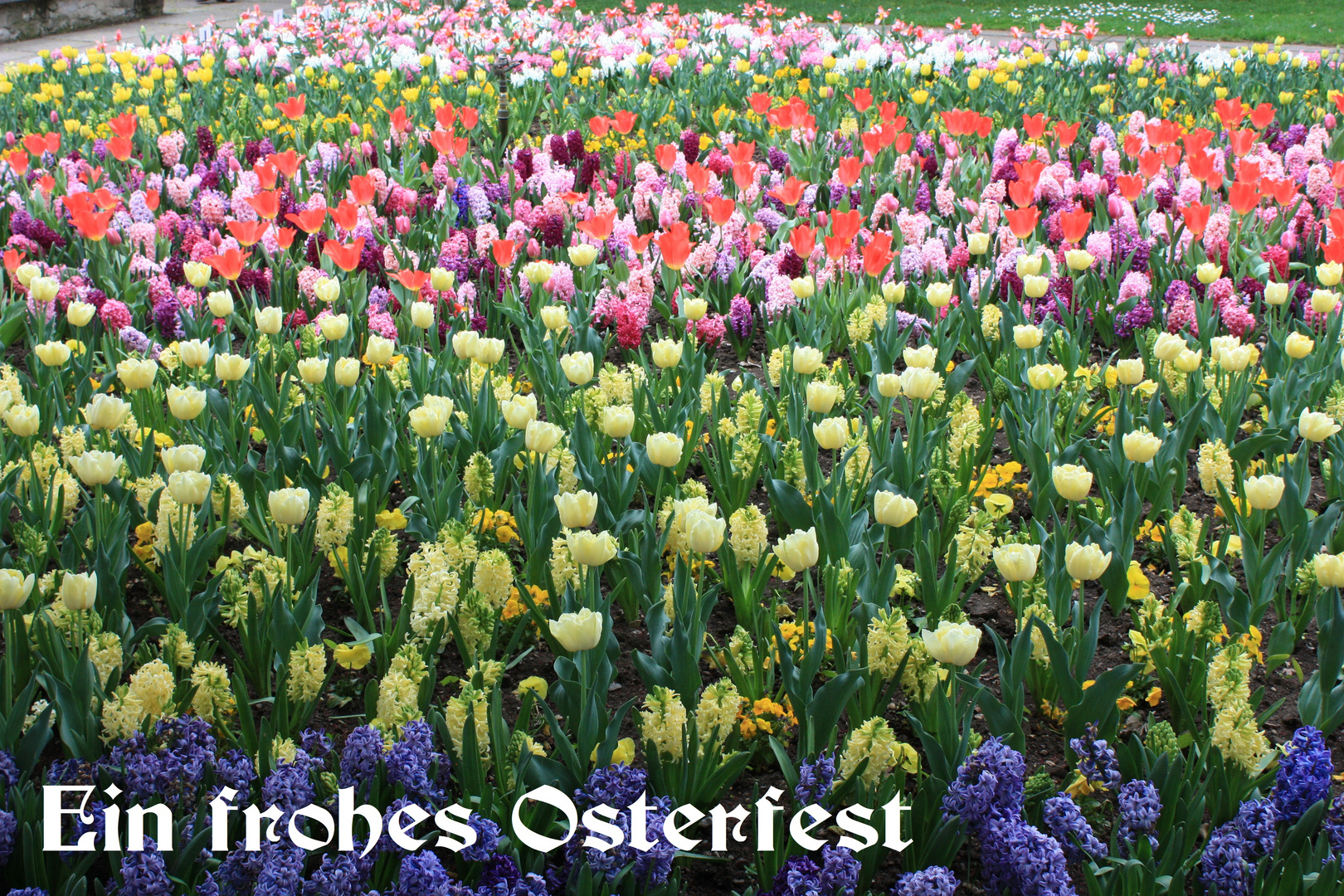 Frohe Ostern