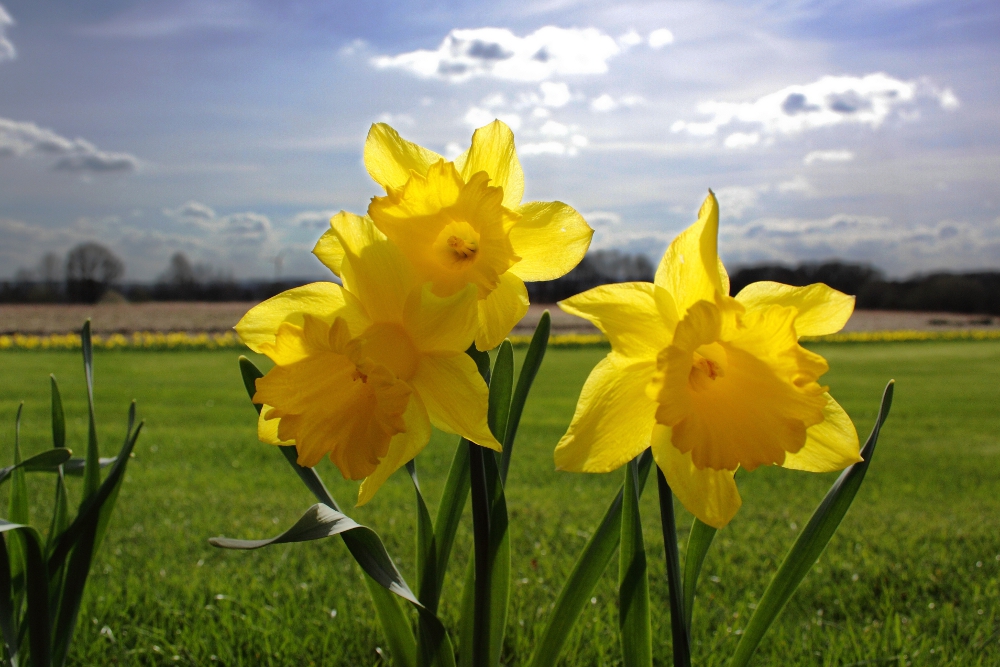 Frohe Ostern!