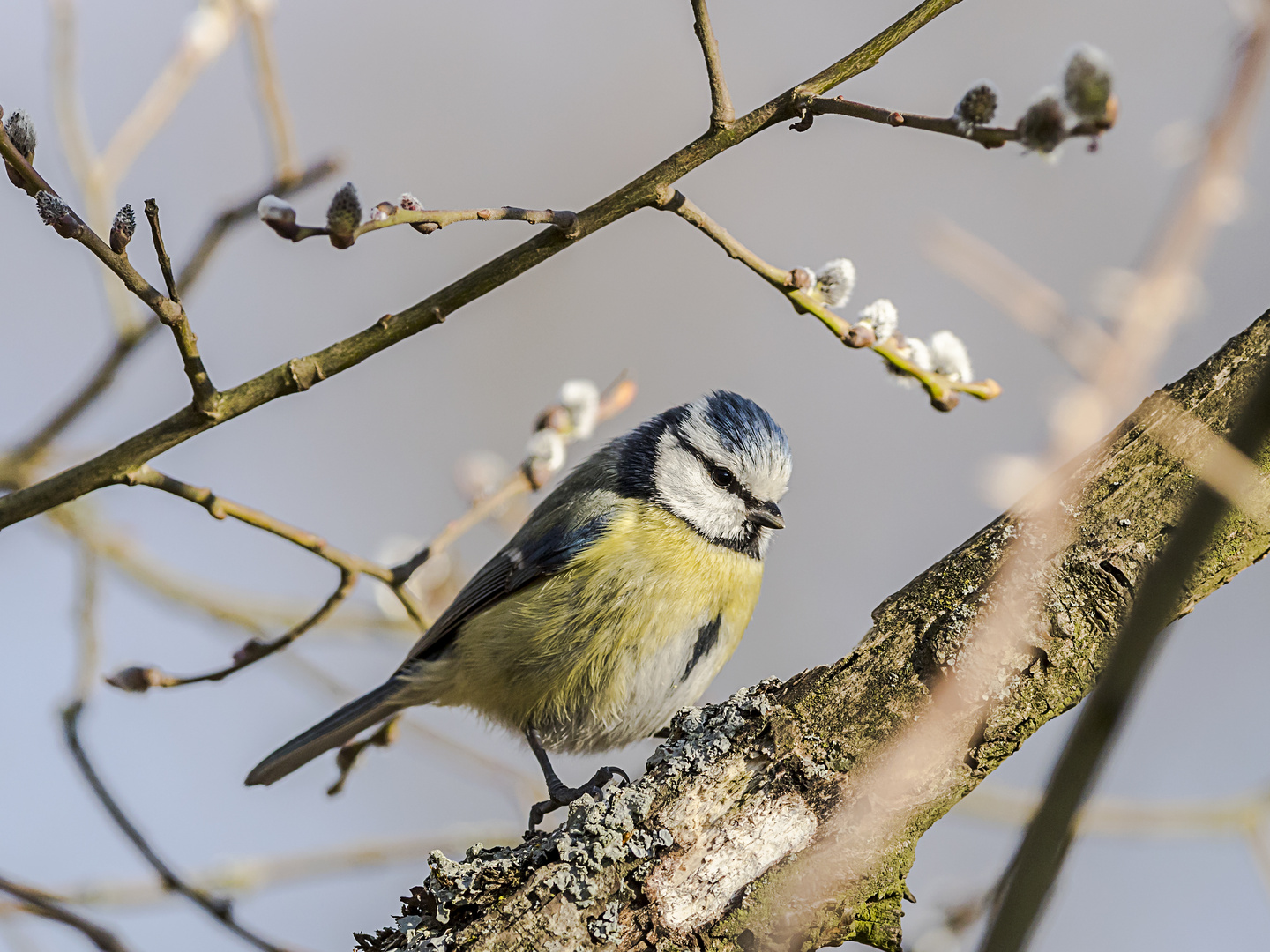 Frohe Ostern