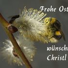 Frohe Ostern